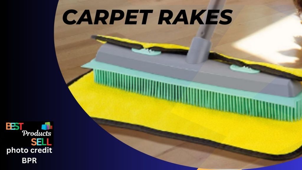 Best Carpet Rakes